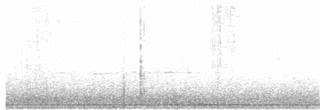 Ring-necked Pheasant - ML150753871