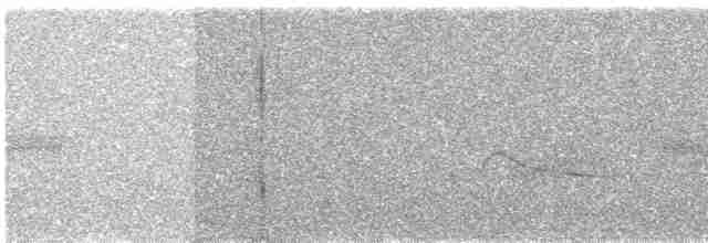 Loggerhead Shrike - ML150803291