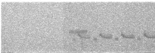 Loggerhead Shrike - ML150803311