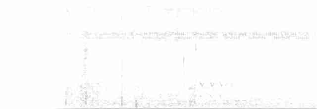 Таязура-клинохвіст велика - ML150860661