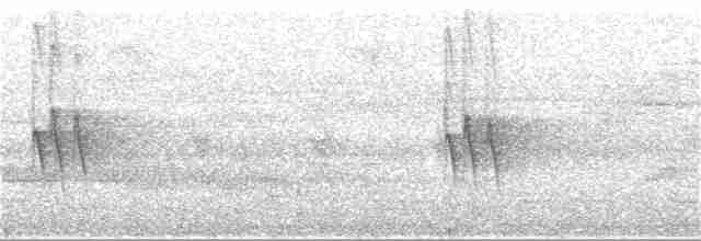 Красногорлая лесная куропатка - ML150909281