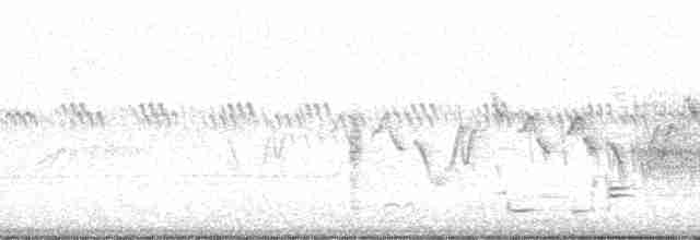 Savannah Serçesi - ML15096