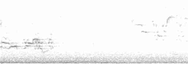 Münzevi Bülbül Ardıcı - ML150963261