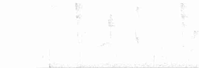 Ерміт-серподзьоб темнохвостий - ML150969851