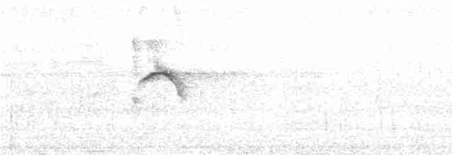 Тапіранга білодзьоба - ML151012471