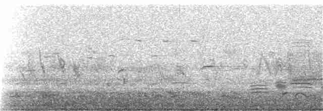 Eastern Meadowlark (Eastern) - ML151061171