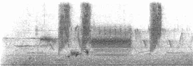Саванная овсянка [группа sandwichensis] - ML151062891