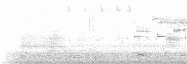 Savannah Serçesi [sandwichensis grubu] - ML151063141