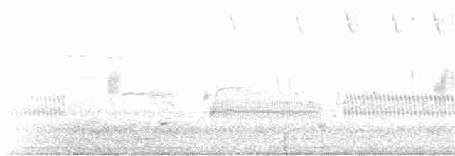 Savannah Serçesi [sandwichensis grubu] - ML151063191
