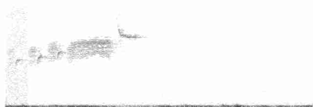 Golden-cheeked Warbler - ML151066991