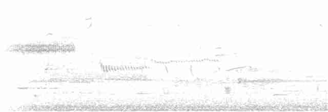 Саванная овсянка [группа sandwichensis] - ML151074921