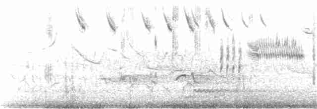 Саванная овсянка [группа sandwichensis] - ML151074961