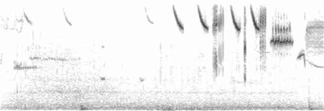 Саванная овсянка [группа sandwichensis] - ML151075741