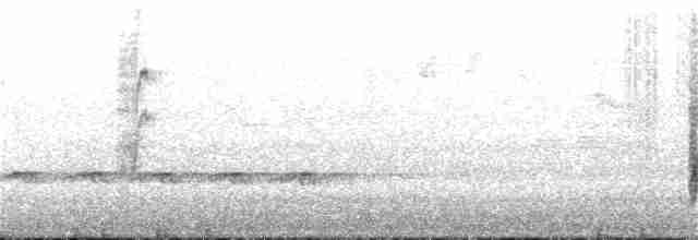 Длиннохвостый крапивник - ML151134861