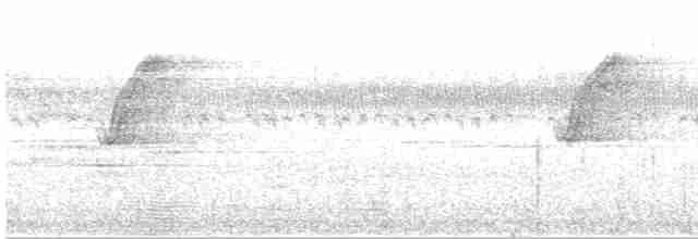 Gray-cheeked Warbler - ML151138721