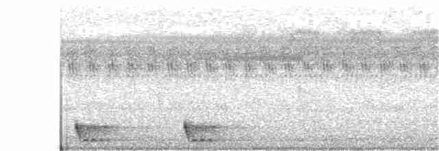 Large-tailed Nightjar - ML151166281
