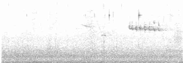 Common Kingfisher - ML151166751