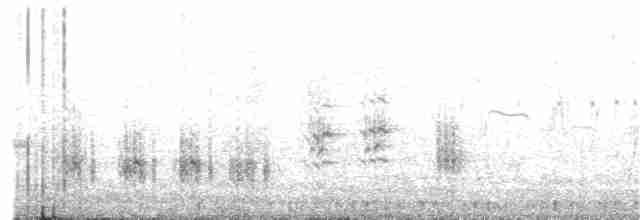 Great Reed Warbler - ML151193081