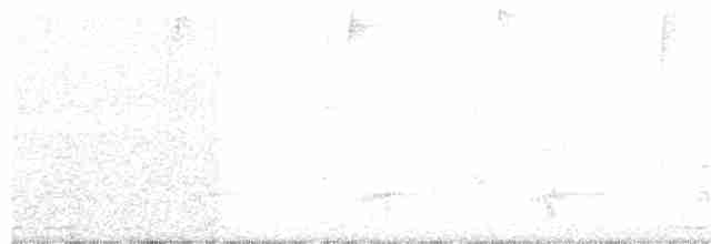 hvitkinnvakteldue - ML151194401
