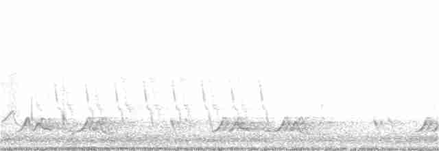 Carolinanachtschwalbe - ML151236381