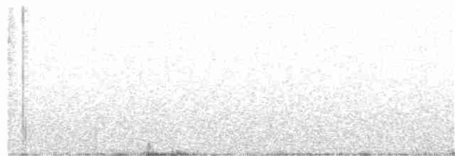 Western Subalpine Warbler - ML151275861