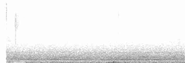 Loggerhead Shrike - ML151282611