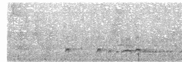 メジロマイコドリ - ML151301301