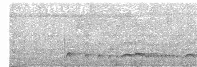 Ірличок сіроголовий - ML151302671