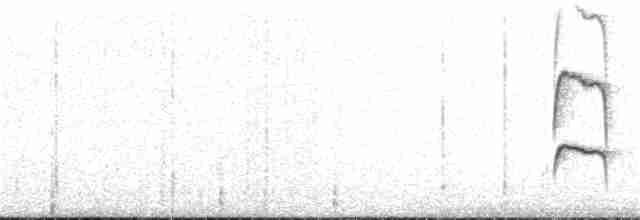 hvithaketistelstjert - ML151317111