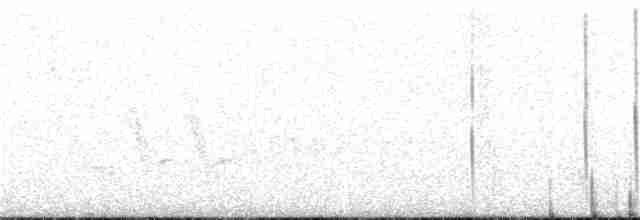 Colibri casqué - ML151323441