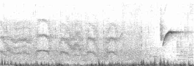 Атласная нектарница - ML151355641