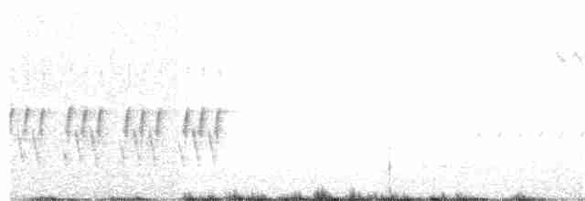 Можжевельниковая гренадерка - ML151373591