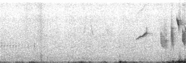Kestane Gıdılı Tohumcul - ML151395801