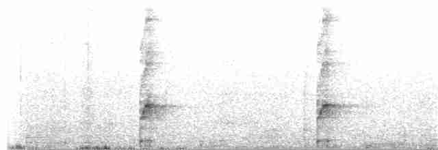 Андская лысуха - ML151399021