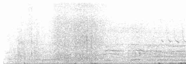 Grass Wren - ML151399081