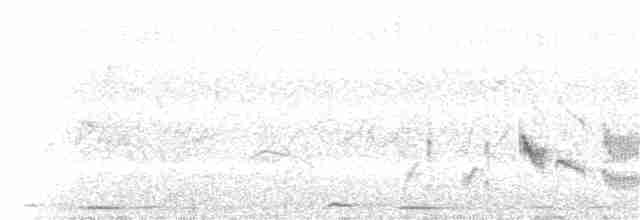Western Orphean Warbler - ML151424991