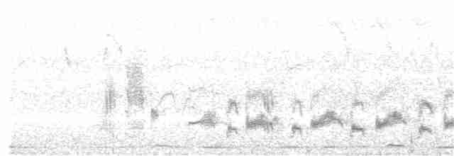 Western Orphean Warbler - ML151425031