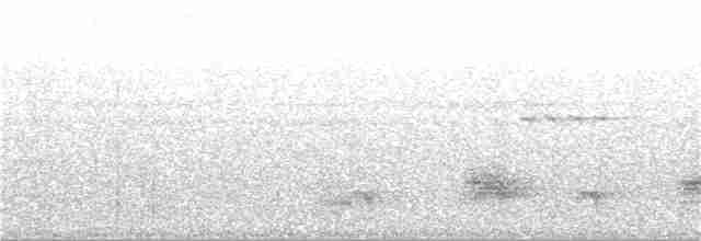 Aschgrau-Ameisenfänger - ML151512521