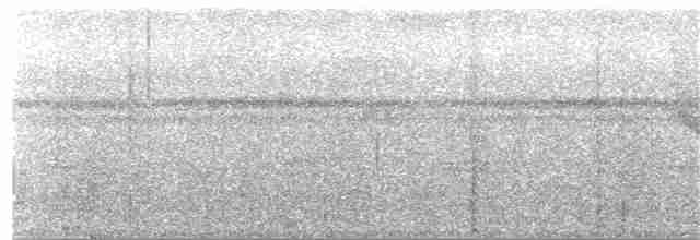 Dreibinden-Ameisenvogel - ML151512561