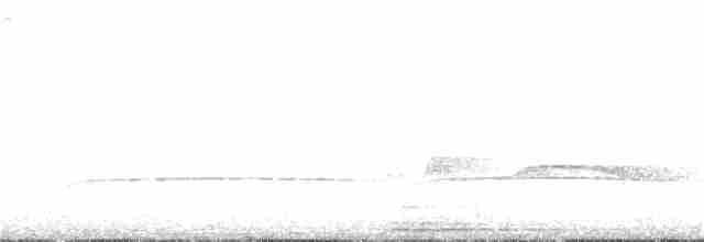 Küstenkordilleren-Kleintyrann - ML151607351