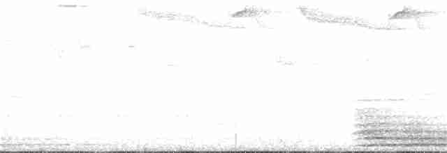 Тиранчик-мухолюб зелений - ML151608361