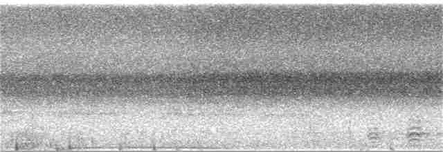 Narcondamhornvogel - ML151625311