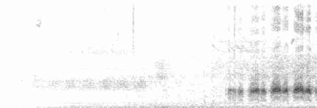 Кактусовый крапивник - ML151625591