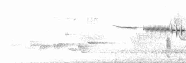 Кактусовый крапивник - ML151625601