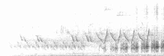 Кактусовый крапивник - ML151625631