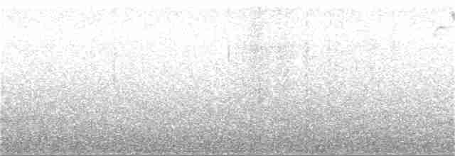 Gri Kaşlı Çalı Serçesi - ML151631571