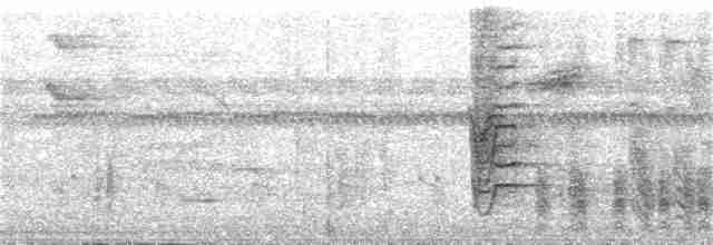 Зернолуск чорноголовий - ML151643741