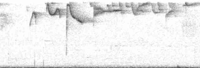 Каштановоголовый тохи [группа brunneinucha] - ML15166