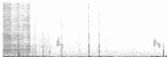 Western Meadowlark - ML151662581