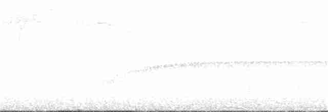Sarı Karınlı Bülbül Tiranı - ML151666871